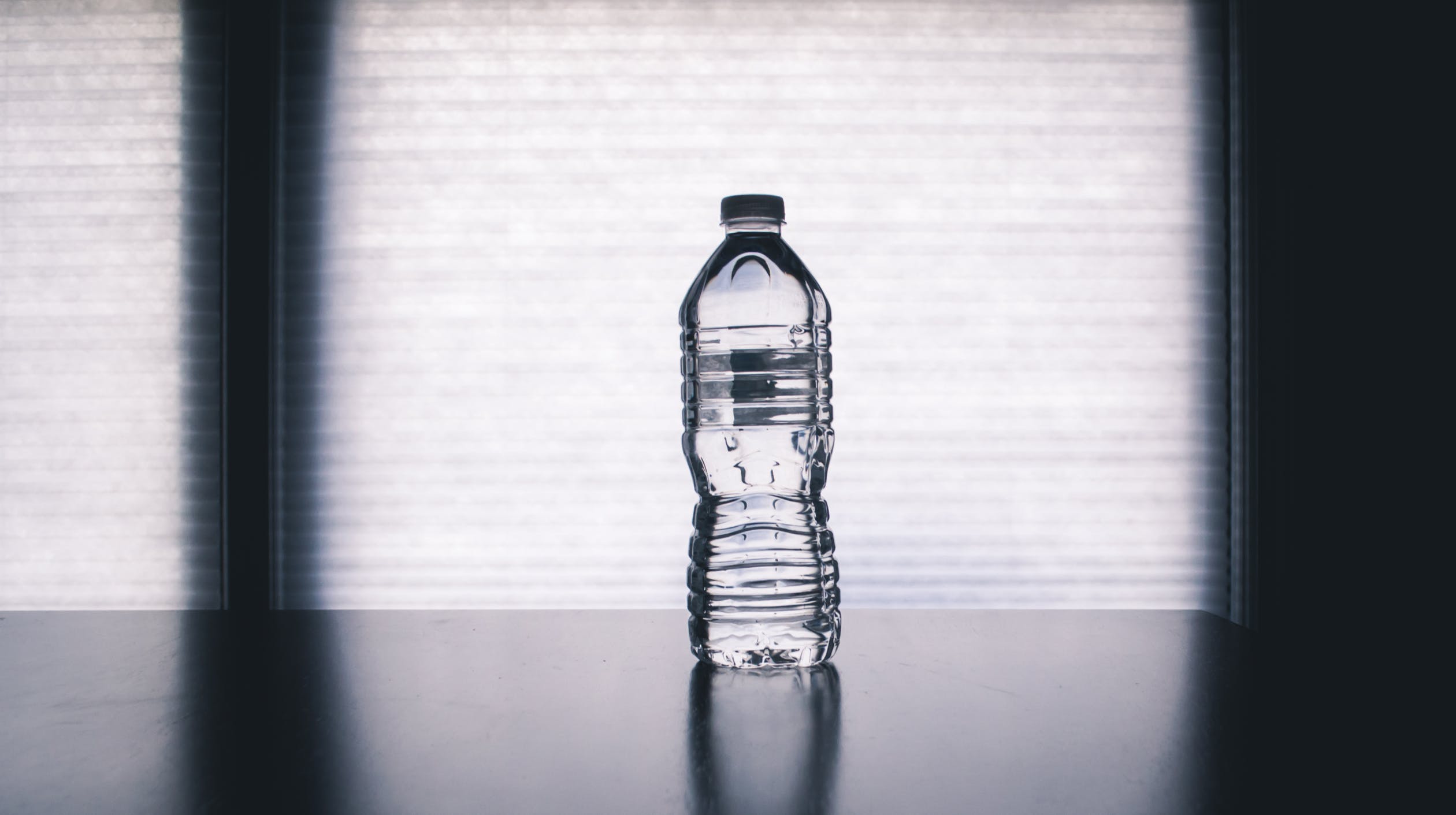 A Completely Recyclable Soft Drinks Bottle... Could it be Possible? 2